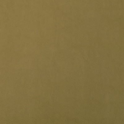 Silver State Old English Sage